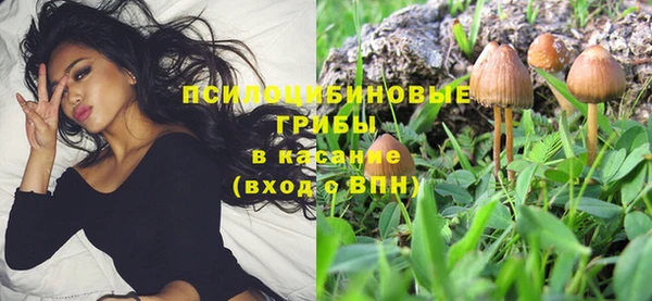 синтетический гашиш Коряжма